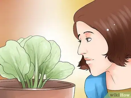 Image titled Choose the Best Time for Watering the Garden Step 7