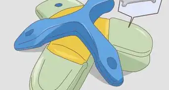 Test a Dog's Intelligence