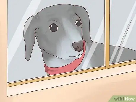 Image titled Recognize Signs of Anxiety in Dogs Step 9