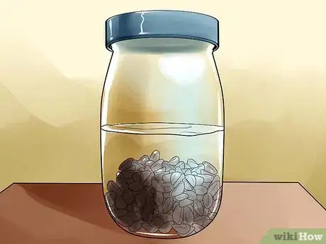 Image titled Grow Morning Glories Step 3