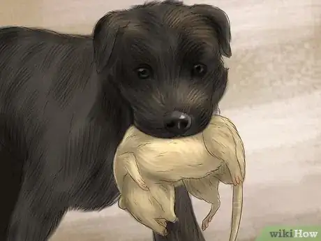 Image titled Prevent Ascarids in Dogs Step 4