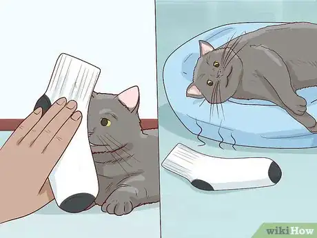 Image titled Encourage Group Scent in Multi‐Cat Households Step 2