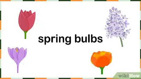 Image titled Plant Spring Bulbs Step 1
