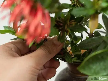 Image titled Make Floral Craft Arrangements Step 9