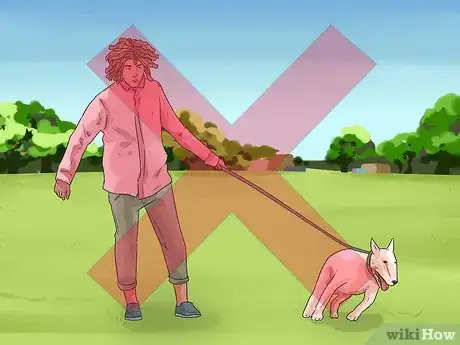 Image titled Show Your Dog Where He Is in the Pack Step 11