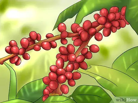 Image titled Spread Positivity with Coffee Step 1