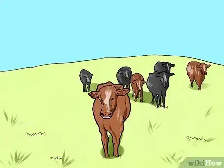 Image titled Choose Cattle for a Foundation Herd Step 1