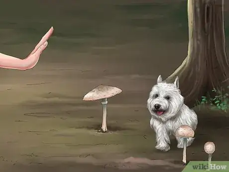 Image titled Protect Your Dog from Toxic Mushrooms Step 1