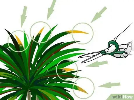 Image titled Prune Dracaena Step 04