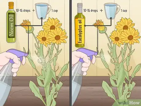 Image titled Create a Bee‐Friendly Garden Step 11