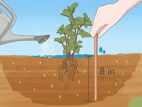 Image titled Water Herbs Step 7