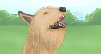 Identify a Berger Picard