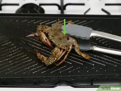 Image titled Cook a Crab Step 14