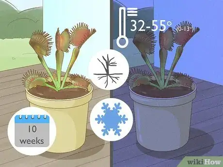 Image titled Raise Carnivorous Plants Step 21