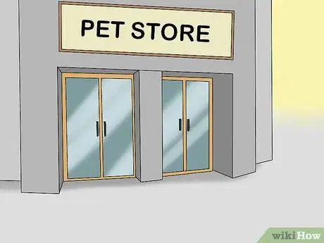 Image titled Choose a Lory or Lorikeet Step 9