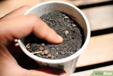 Image titled Grow Herb Gardens from Seed Step 3