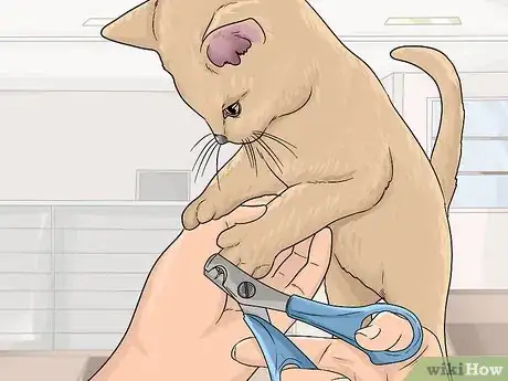 Image titled Maintain Hardwood Floors Step 8