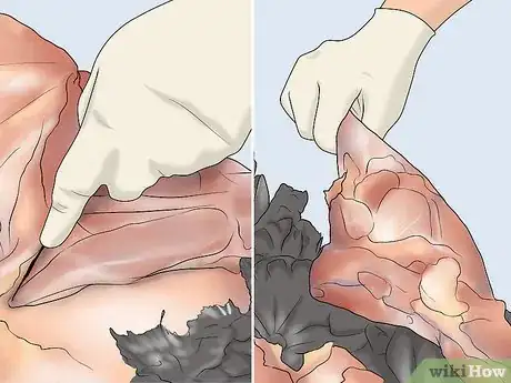 Image titled Dress a Turkey Step 15