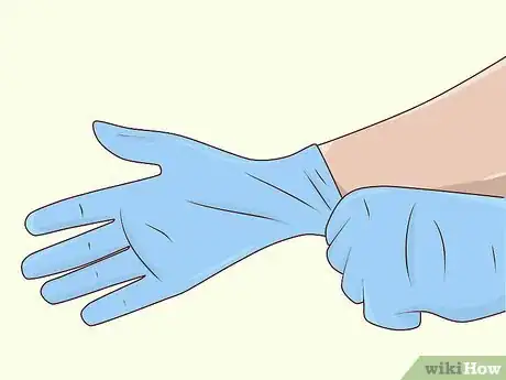 Image titled Treat Enterococcus Step 9