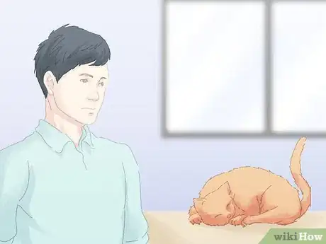 Image titled Save a Choking Cat Step 3