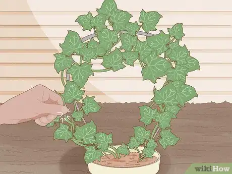 Image titled Grow a Topiary Step 22