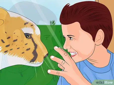 Image titled Visit Busch Gardens Tampa Step 50