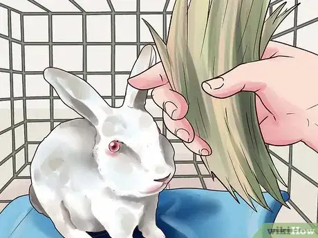 Image titled Choose Rabbit Food Step 2