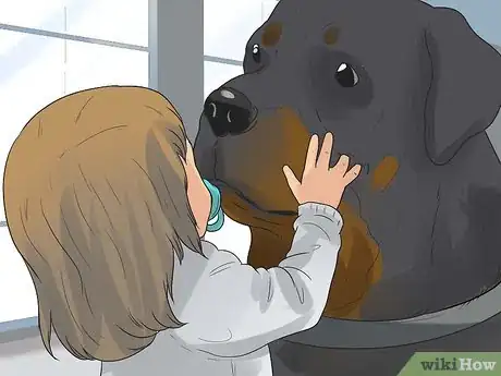 Image titled Care for Rottweilers Step 15