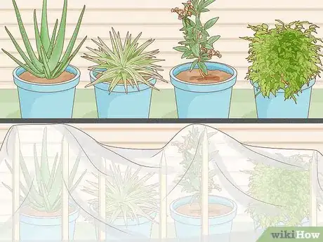 Image titled Cover Plants in the Winter Step 11