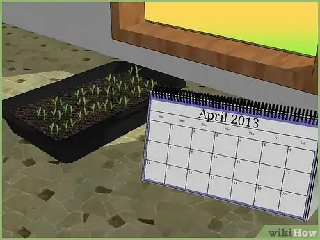 Image titled Plant a Seed Step 2