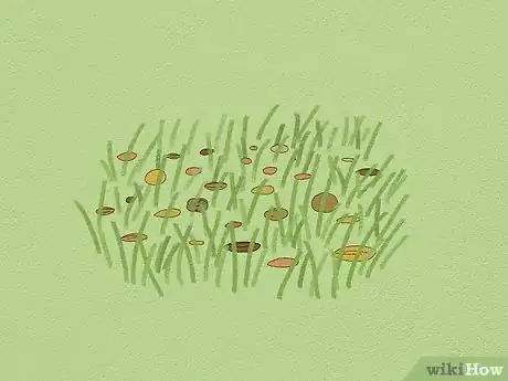 Image titled Feed a Squirrel Step 3