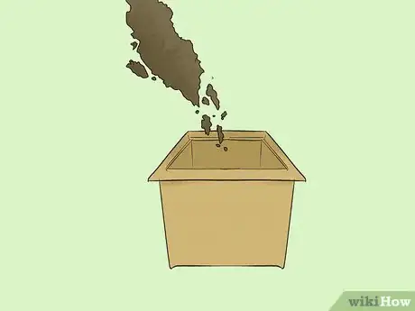 Image titled Grow a Washingtonia Robusta Step 3