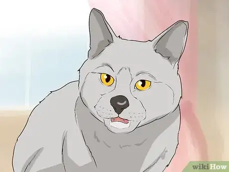 Image titled Figure Out Your Cat's Mood Step 6