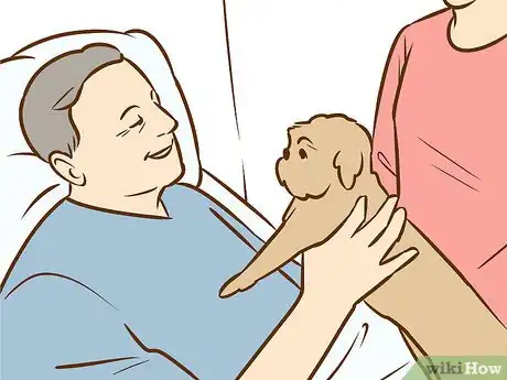 Image titled Use a Pet to Help You Cope with Chronic Pain Step 10