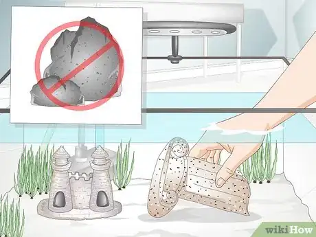 Image titled Take Care of Botia Fish Step 9