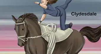 Choose the Right Breed of Horse for You