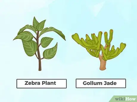 Image titled Plant Succulents Indoors Step 1