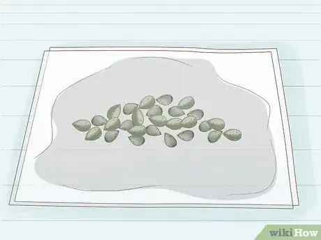 Image titled Grow Royal Gorilla Step 3