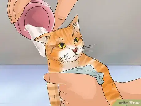 Image titled Help Your Cat Enjoy Having a Bath Step 7