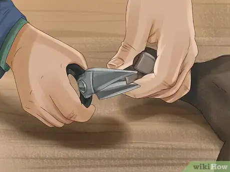 Image titled Have a Potbellied Pig for a Pet Step 18