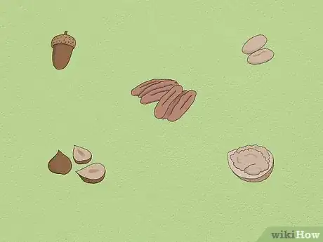 Image titled Feed a Squirrel Step 5