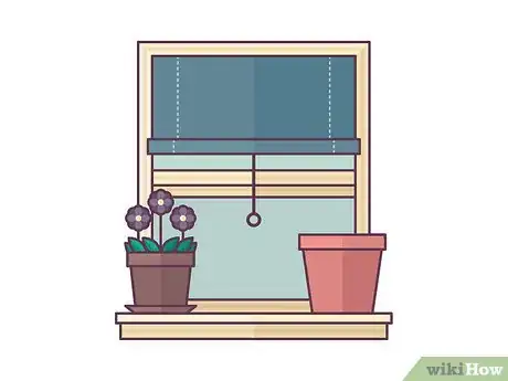 Image titled Repot African Violets Step 1