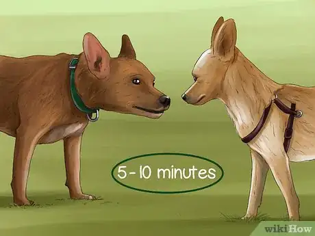 Image titled Introduce a New Dog in a Not Neutral Area Step 8