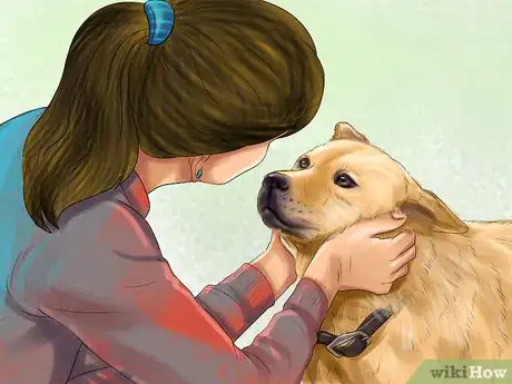 Image titled Keep Your Pet Occupied when You Are Not at Home Step 9