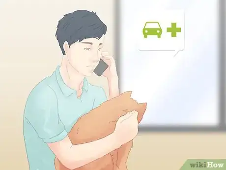 Image titled Save a Choking Cat Step 11