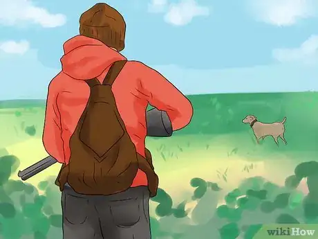 Image titled Hunt Pheasants Step 12