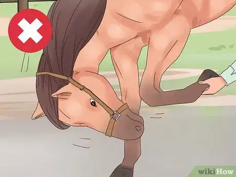 Image titled Teach a Horse to Bow Properly Step 13
