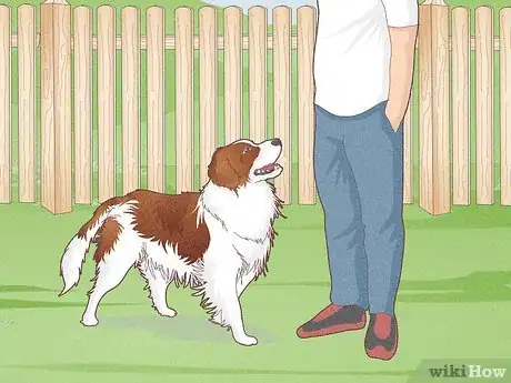 Image titled Have Healthy Relationships with Animals Step 7