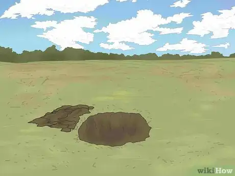 Image titled Grow a Washingtonia Robusta Step 7