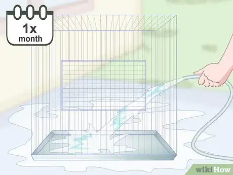 Image titled Own a Parakeet Step 13